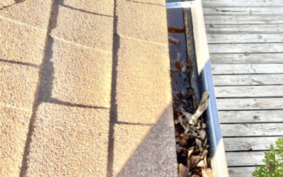 Screening Tenants: Why a Thorough Process Protects Your Investment